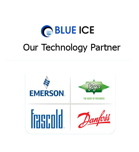 Blueice technology partners
