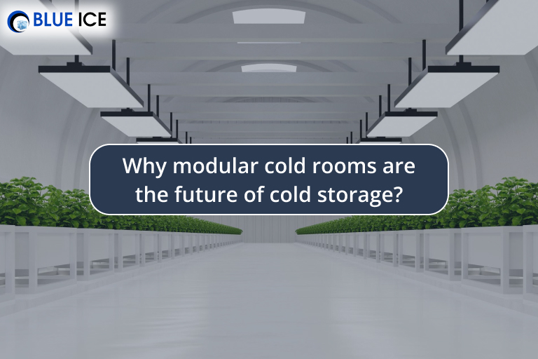 cold room cold storage