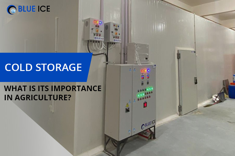 Cold storage: what is its importance in agriculture