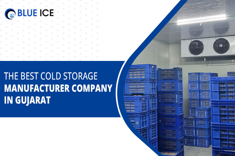 How to Choose Right Cold Storage for Your Business