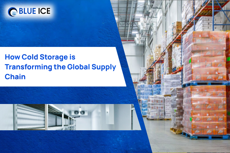 How Cold Storage is Transforming the Global Supply Chain