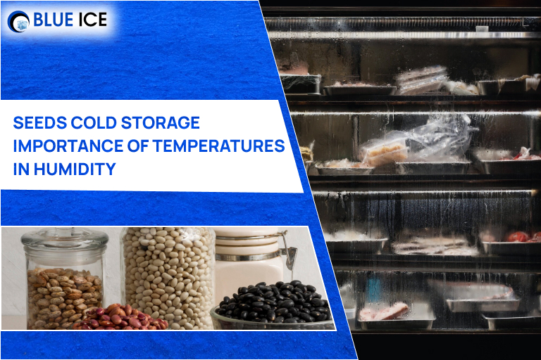 cold room cold storage